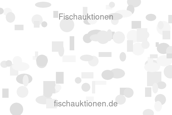 Fischauktionen