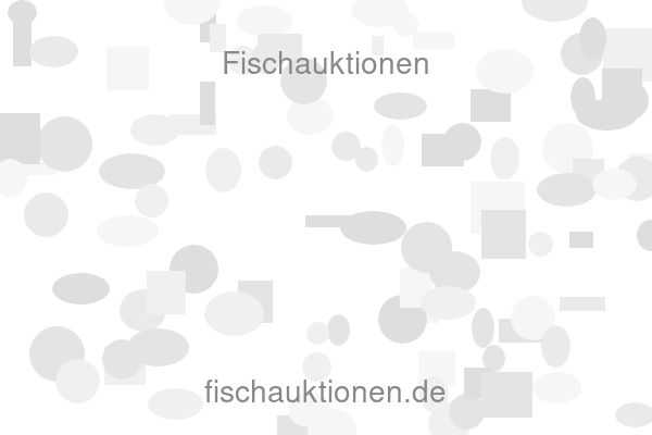 Fischauktionen