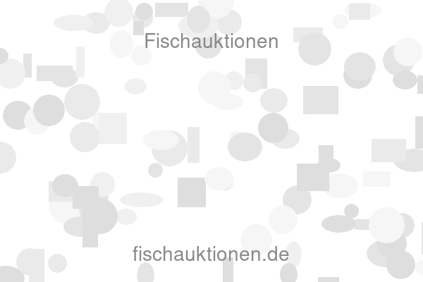 Fischauktionen