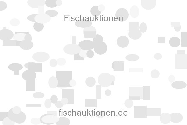 Fischauktionen