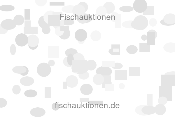 Fischauktionen