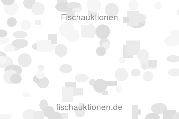 Fischauktionen